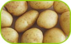 Baby potato washed 500g/1kg