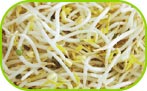 Bean sprouts standard 150g