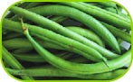 Green beans whole 250g/500g